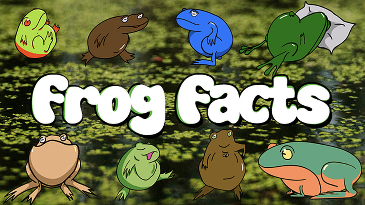 Frog Facts Countdown image number null
